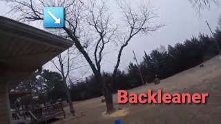 Arborist Felling A Back Leaner Tree Using Vermeer To Overcome weight Hutchinson Kansas