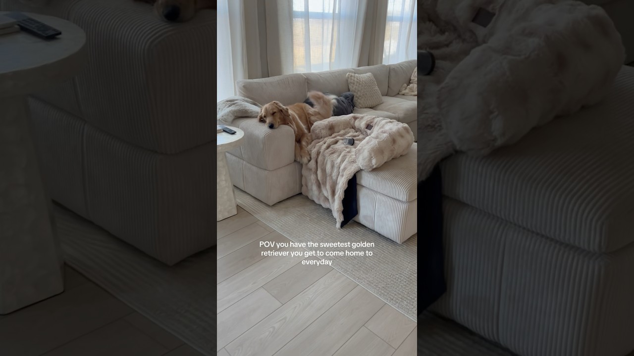 Мне так повезло! 