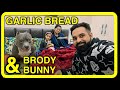 Brody and Bunny Playing and Our Garlic Bread recipe 😍 | Funny Dogs and Family Vlog | Harpreet SDC