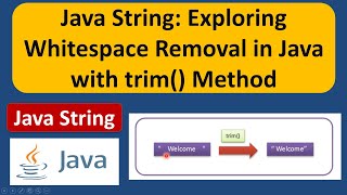 Java String: Exploring Whitespace Removal in Java with trim() Method | Java Tutorial screenshot 2