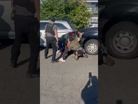 Vietnamese criminal alien Thuc Ho rammed the car behind him trying to evade ICE San Diego officers.