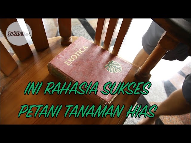 INI RAHASIA SUKSES PETANI TANAMAN HIAS