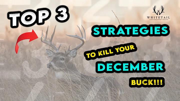 Top 3 Strategies To Kill your DECEMBER BUCK!!