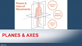 Planes & axes(axis) of human body.