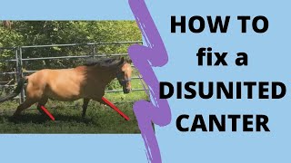 How to Fix a Disunited Canter