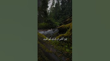 تلاوة مؤثرة من سورة لقمان