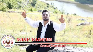 Vasy Vaduva - Cea mai faina nunta (Official Video) NOU