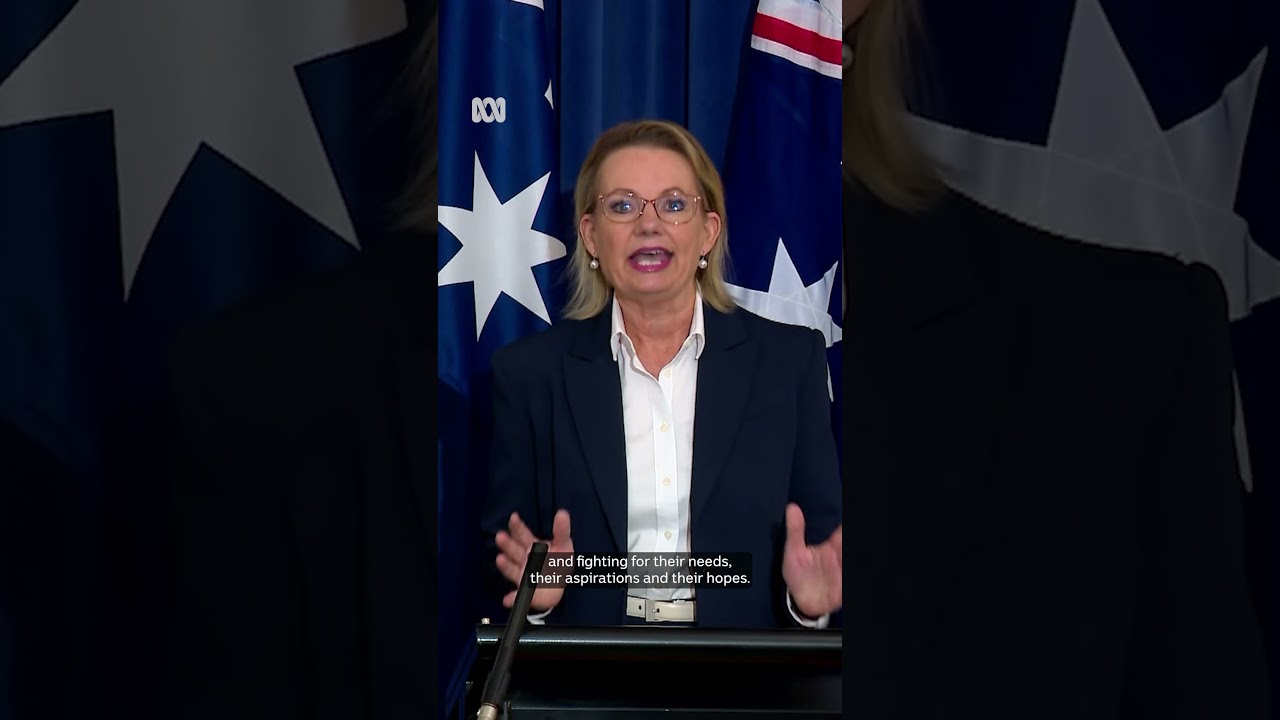 Coalition reunited after last-minute deal | ABC NEWS