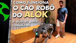 Como FUNCIONA o CÃO ROBÔ do ALOK e outros DOGUINHOS TECNOLÓGICOS