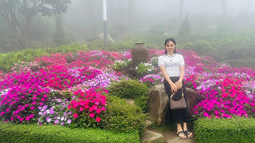 Điểm du lịch lý tưởng nhất Việt Nam chỉ có ở núi Bà Đen Tây Ninh. Lạnh tê tái trước vườn hoa 