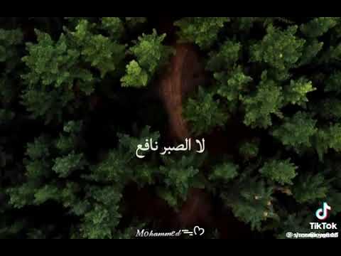 بينك وبيني ذكرى بعيش بيها خدو مني عيني