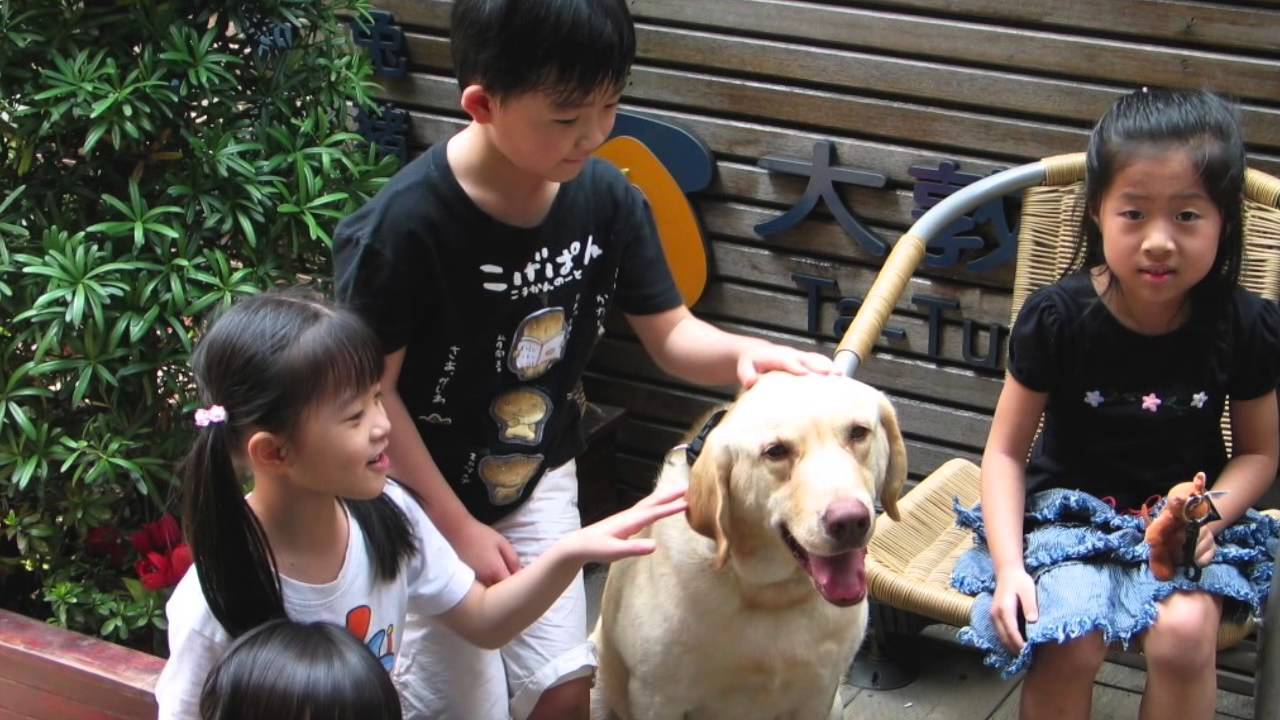 關於大敦 - 「愛 ， 感動」篇 縮圖