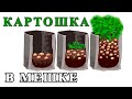 Картошка в мешке картофель в мешке посадка урожай