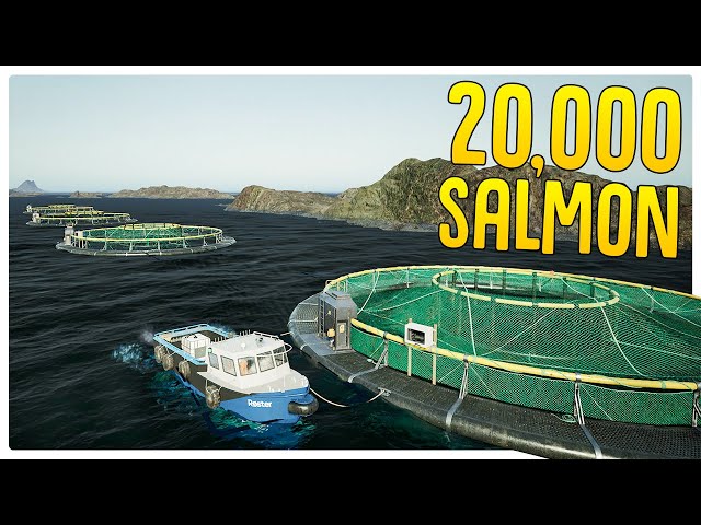 Getting Rich Growing u0026 Selling Salmon in Ships at Sea class=