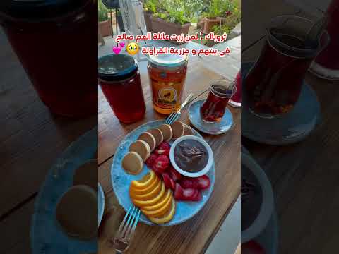 مزرعة الفراولة في طرابزون فراولة مزرعة طرابزون سياحة سفر تركيا اكسبلور