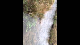 IMG 0400