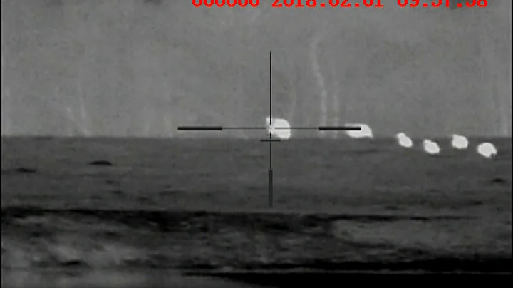 A mess of Wild Hogs in East Texas - Thermal Optic Hog Hunting