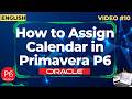 How to Assign Calendar in Primavera P6