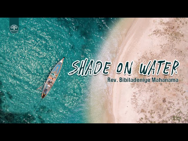 Shade On Water -  Relaxation Music | Healing Music | Relaxing Music