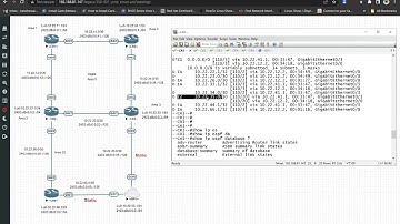 CCNP Enterprise (ENCOR)- Chapter 9. Advanced OSPF - Part2