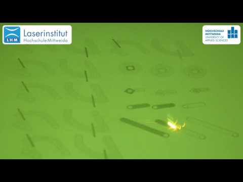 Selective Laser Melting