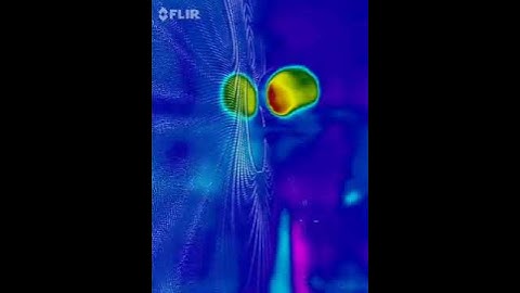 FLIR Imaging of magnetic heating from the plane of inertia via induction