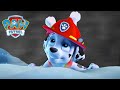 Marshall Gets Stuck In Snow PAW Patrol Episode Cartoons For Kids Compilation Marshall Gets Stuck In Snow PAW Patrol Episode Cartoons For Kids Compilation