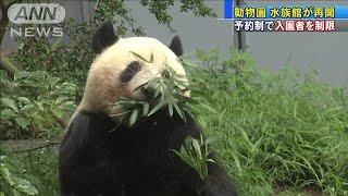 上野動物園と葛西臨海水族園　予約制できょう再開(20/06/23)