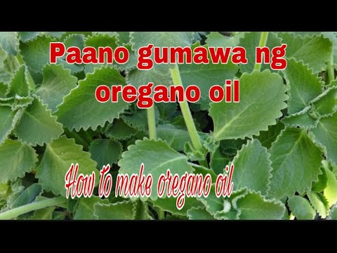 Video: 4 na Paraan upang Maiproseso ang Mga Walang Balo at Walang Balat na Mga Sipon ng Manok