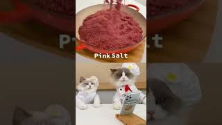 Mama wants some pink salt #thatlittlepuff #ChefPuff #catsofyoutube