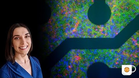 Characterizing environmental compounds on the Maestro multiwell MEA system: Coffee Break Webinar