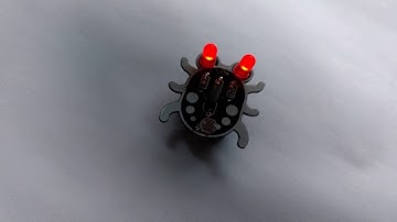 Weevil Eye as made by high school student