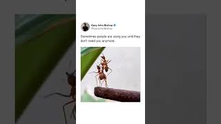 Nainua Macho Yangu Nitazame Milima People Can Use You Jg Africa