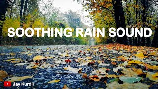 Soothing Rain Sound - Reducing Stress, Anxiety, Sleep, Studying & Relaxation Experience | Jay Kurdii screenshot 4