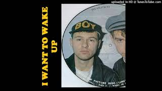 Pet Shop Boys @ I Want to Wake Up [Johnny Marr 1993 Remix]