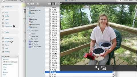 Wordpress Photo Gallery: Upload, Crop, Watermark Images