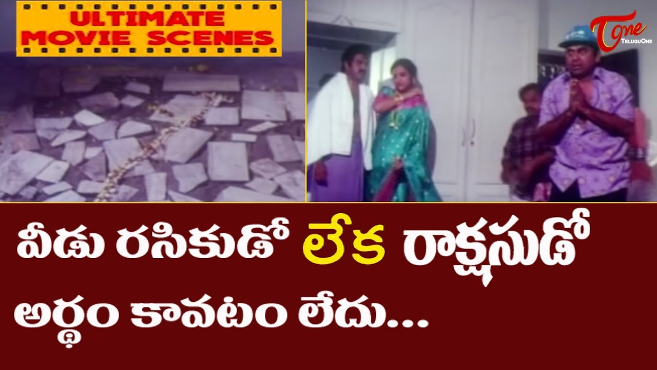 వీడు రసికుడో లేక రాక్షసుడో అర్ధం కావటం లేదు | Nandamuri Balakrishna Ultimate Movie Scene | TeluguOne