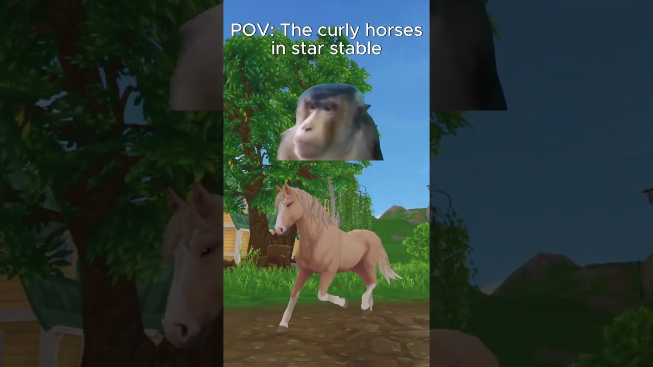 POV: The curly horses in star stable... 