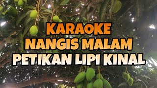 KARAOKE NANGIS MALAM GITAR TUNGGAL PETIKAN LIPI KINAL
