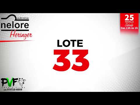 LOTE 33