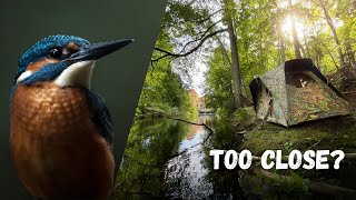 How I Took This Photo - BEHIND THE SCENES of Photographing Kingfishers