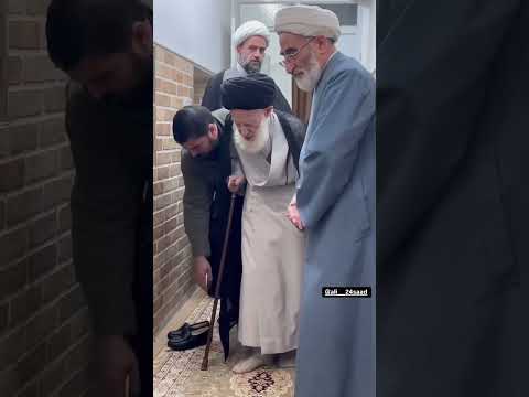 سماحة آية الله العظمى السيد موسى الشبيري الزنجاني دام ظله