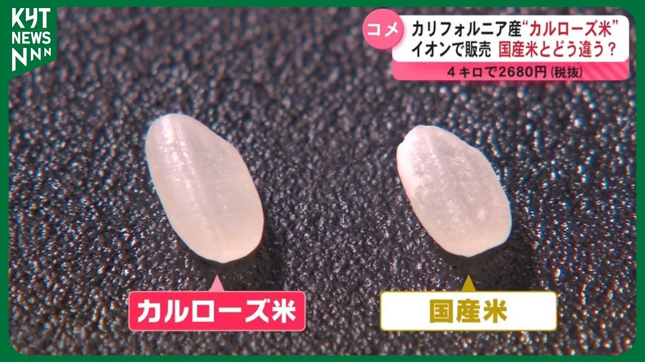 カリフォルニア産“カルローズ米” イオンで販売　国産米とどう違う?　every.が購入気になる味は?
