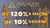 HyipoMania Com