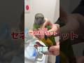 首を伸ばして横に揺れてる2ヶ月のセネガルパロットが動物病院にやって来た！