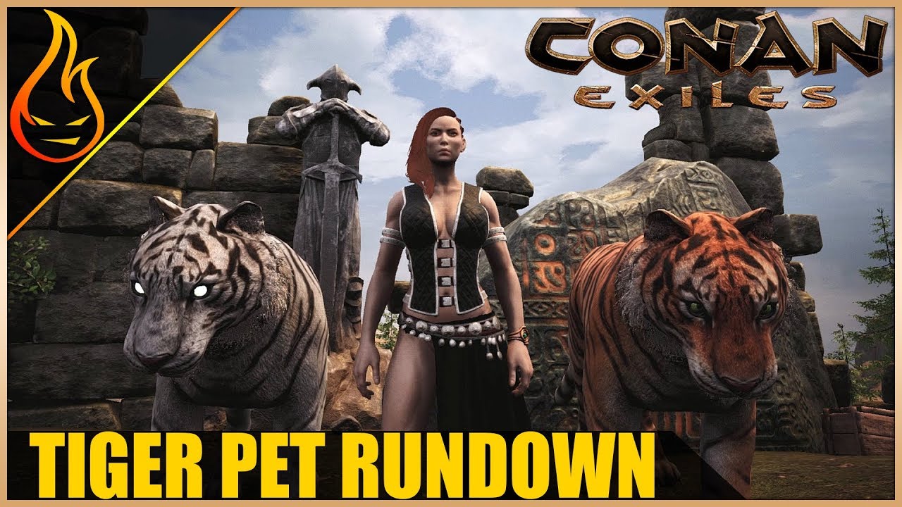 Everything You Need To Know About The Tiger Pet Conan ...