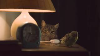 Energia Cheaper Home Energy - "Cheep-Purr" TV Ad screenshot 2