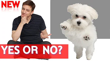 Does getting a male dog neutered make him less aggressive?
