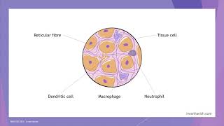 Introduction to Immunology (part 1) by Irwan's Work Channel 670 views 2 years ago 17 minutes