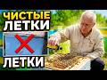 НОЗЕМАТОЗ УЙДЕТ: Почему пролив по улочкам ЭФФЕКТИВНЕЕ?